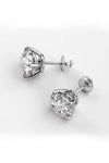 Platonic Platinum Plated Timeless Brilliance Solitaire Studs in 925 Sterling Silver