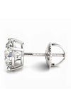 Platonic Platinum Plated Timeless Brilliance Solitaire Studs in 925 Sterling Silver