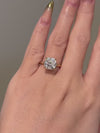 Platonic Brilliant Iridescent Moissanite Solitaire