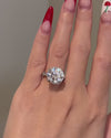 Platonic Brilliant Round x Classic 4-Prong Hidden Halo Pavé White Gold Setting