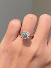 Platonic Brilliant Iridescent Moissanite Solitaire